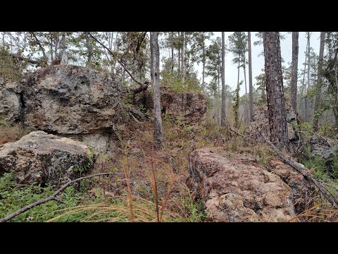 Видео: Охота в холмах