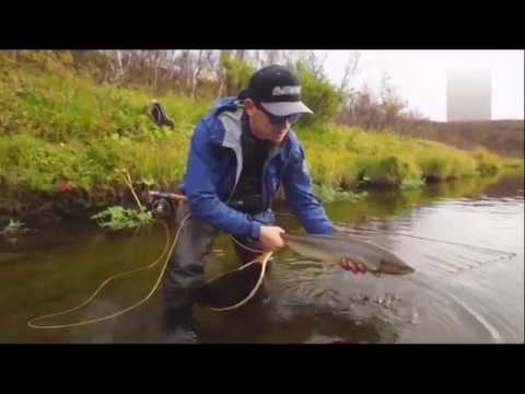 Видео: Ловля семги на Кольском п-ове