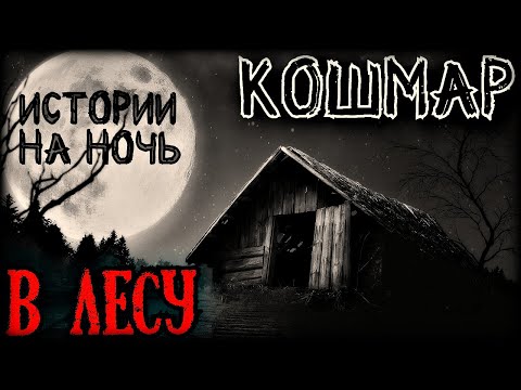 Видео: Истории на ночь: Кошмар в лесу