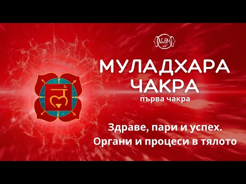 Видео: МУЛАДХАРА ЧАКРА: Здраве, пари и успехи. Органи и процеси в тялото.