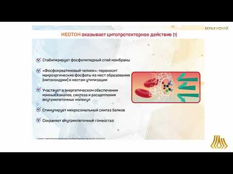 Видео: Кардиопротекция на различных этапах лечения онкологического пациента (Потиевская  В.И.)
