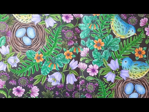 Видео: Сумеречный сад. 50 раскрашенных страниц ✓ | Twilight Garden by Maria Trolle. Completed pages