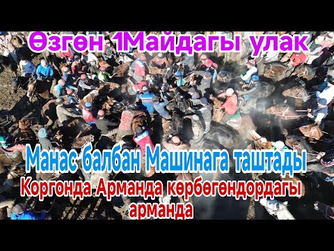Видео: Чындыгында Ширин улак болду ылайда чылада таза кол мн чабышты балбандар 