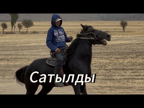 Видео: Аттын Эле жакшысы+996-770-465-946.  16 сентября 2025 г.