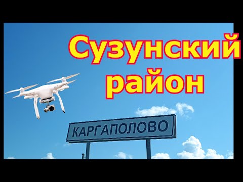 Видео: Сузунский район село КАРГАПОЛОВО   !!!!! С высоты !!!!