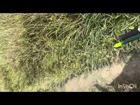 Видео: Рибалка як воно буває