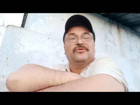 Видео: Сальмонелез  свиней!