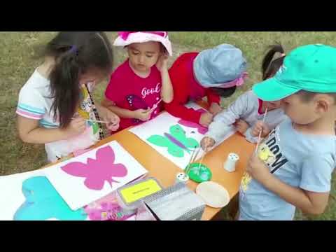 Видео: "Ақ қанатты көбелек"