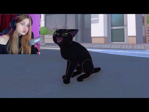 Видео: Блэк Кити в Биг Сити 😼 \ Valera Ghosther \ Реакция