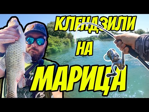 Видео: СГАЩИХ ПОРЕДЕН БРАКОНИЕР!! РИБОЛОВ НА ТРОФЕЙНИ КЕФАЛИ НА РЕКА МАРИЦА В ПЛОВДИВ.