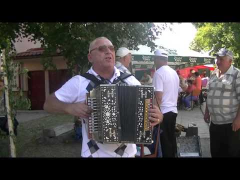 Видео: Гармонь