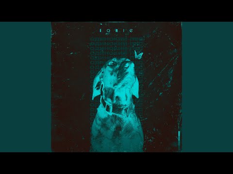 Видео: Одинокий пёс