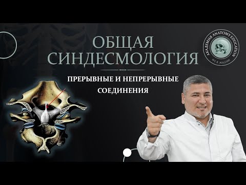 Видео: Общая синдесмология. Прерывные и не прерывные соединения