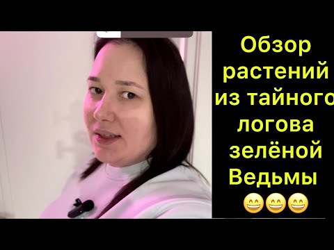 Видео: Обзор растений из тайного логово зелёный ведьмы😆😆😆 ￼