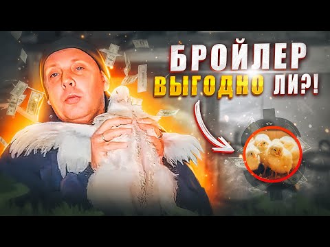 Видео: Выгодно ли выращивать БРОЙЛЕРА?! Схема пропойки. "Мое Подворье"