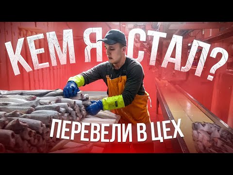 Видео: Меня перевели в цех ! Кем я стал ? Работа на рыбаке глазами матроса - мой личный опыт