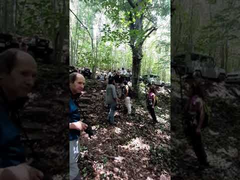 Видео: Нестинари село Кости