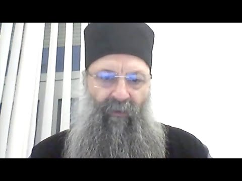 Видео: Митрополит Порфирије - Разговор са народом преко зум апликације, 10. мај 2020.