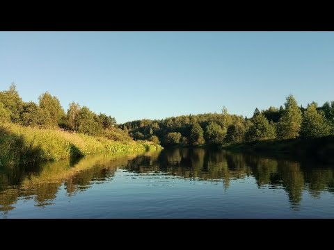 Видео: Сплав по янтарной реке. День 2