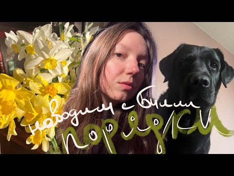 Видео: Уборка цветов в доме и во дворе