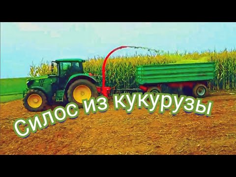 Видео: Большая работа маленького фермера|Заготовка кукурузы|Смешали коров и ЧТО получилось|Ферма в Германии