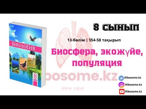 Видео: 8-сынып Биосфера, экожүйе, популяция §54-58 тақырып 13-бөлім / Ribosome.kz / Ерік Әділ