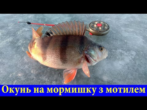 Видео: Зимова ловля окуня на мормишку з мотилем для новачків! Як ловити окуня зимою з криги на ставку