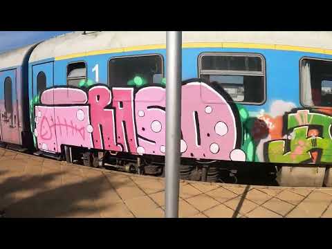 Видео: Плевен 04.03.2024