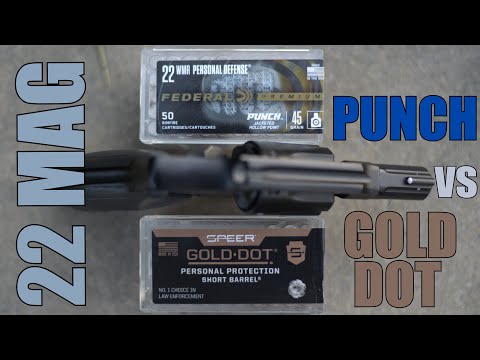 Видео: 22 патрона Magnum для самообороны ~ PUNCH VS GOLD DOT