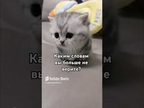 Видео: Актив вернись пожалуйста!(🥺 #вреки #активвернись #пжрек #лювас