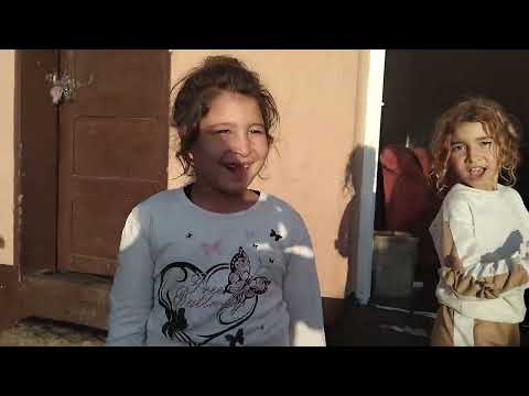 Видео: 24 октомври 2025 г.