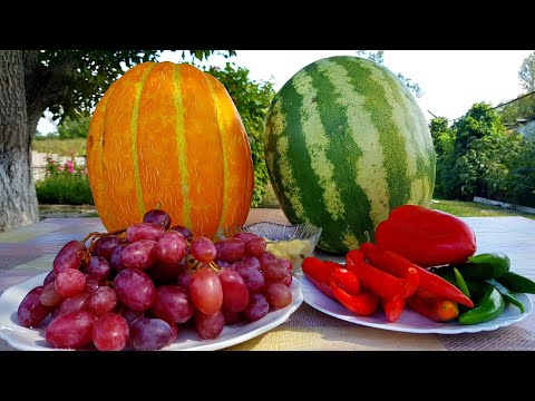 Видео: Один раз попробуете и будете готовить Всегда! Вкуснейшая Заготовка на Зиму!!!