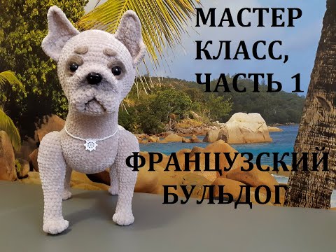 Видео: ФРАНЦУЗСКИЙ БУЛЬДОГ КРЮЧКОМ, МАСТЕР КЛАСС, ЧАСТЬ 1