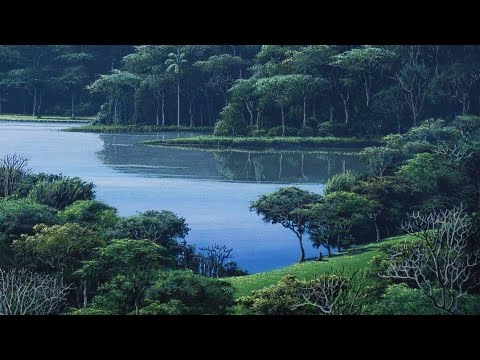 Видео: Больше, чем осознанность простыми словами (Часть 1) I Бхантэ Хенепола Гунаратана