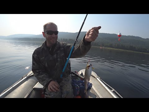 Видео: На Ангару за хариусом !!!