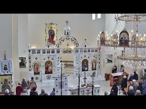 Видео: Трансляція