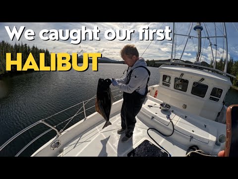 Видео: MV Eudora — лагуна Эллерсли — остров Прайс — мы поймали палтуса!