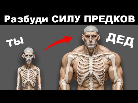 Видео: Твой дед был сильнее тебя! Вот почему…