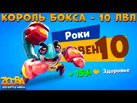 Видео: КАЧАЕМ 10 УРОВЕНЬ!!! КОРОЛЬ БОКСА - СКОРПИОН РОКИ В ИГРЕ ZOOBA
