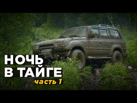 Видео: Путь в мертвую деревню через бездорожье. Часть 1. Land Cruiser 80 и Gx470.