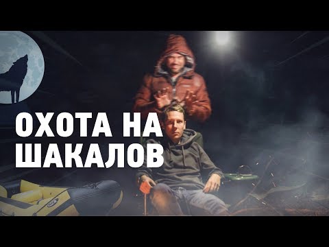 Видео: Охота на шакалов. 2 кадра 01.11.2018