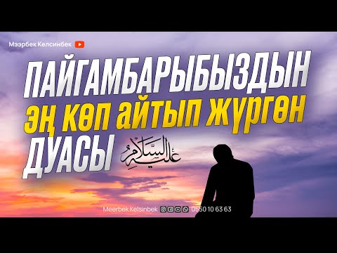 Видео: Бул дуада эки дүйнө бактылуулугу камтылган.