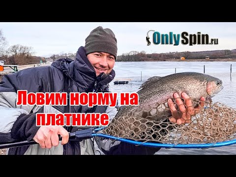 Видео: Ловля форели на платнике суперкарп. #OnlySpin