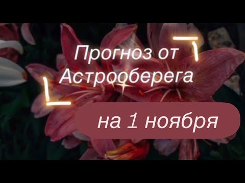 Видео: Лера Астрооберег делает прогноз на 1 ноября. Смотрите сейчас! Главные енергии дня! 