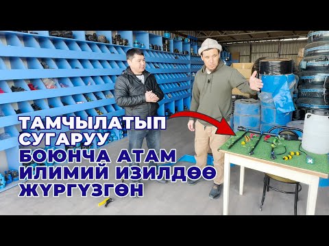 Видео: Саналуу адистердин бири! Тамчылатып сугаруу боюнча төкпөй-чачпай айтып берди