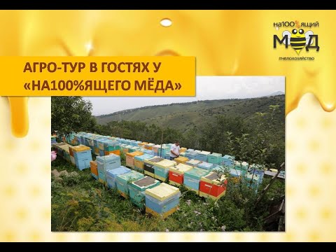 Видео: Доход от туристов больше чем от продажи мёда – опыт Казахстана. Коновалов П.П.
