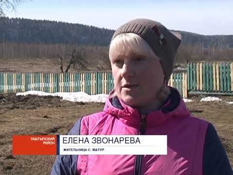 Видео: "Дровосеки" против "собирателей": в Таштыпском районе разгорелся жаркий спор из-за леса