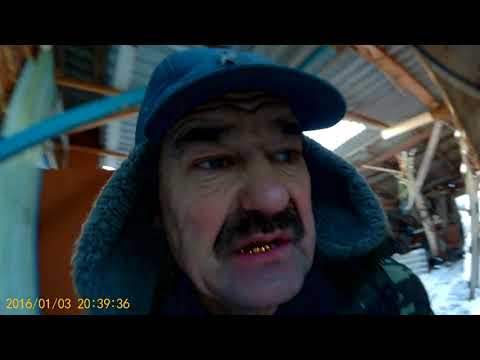 Видео: т 40 ам на одном дочь на втором я вывозим зароды.Всё поископали..