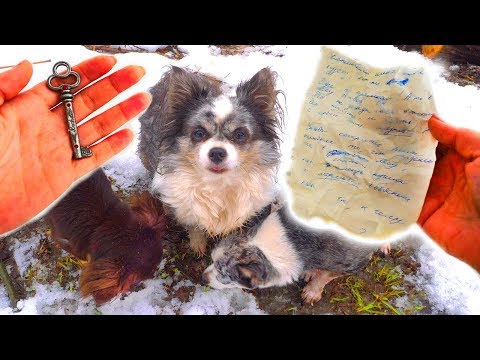 Видео: НАШЛИ ЗАПИСКУ И КЛЮЧ В ЛЕСУ! КИСА АЛИСА ПОТЕРЯЛАСЬ! ПИТОМЦЫ В МИСТИЧЕСКОМ ЛЕСУ! КТО СЛЕДИТ ЗА НАМИ?