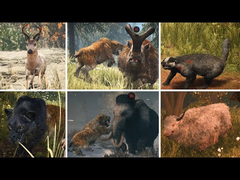 Видео: Far Cry Primal - Охота - Редкие животные - Все животные